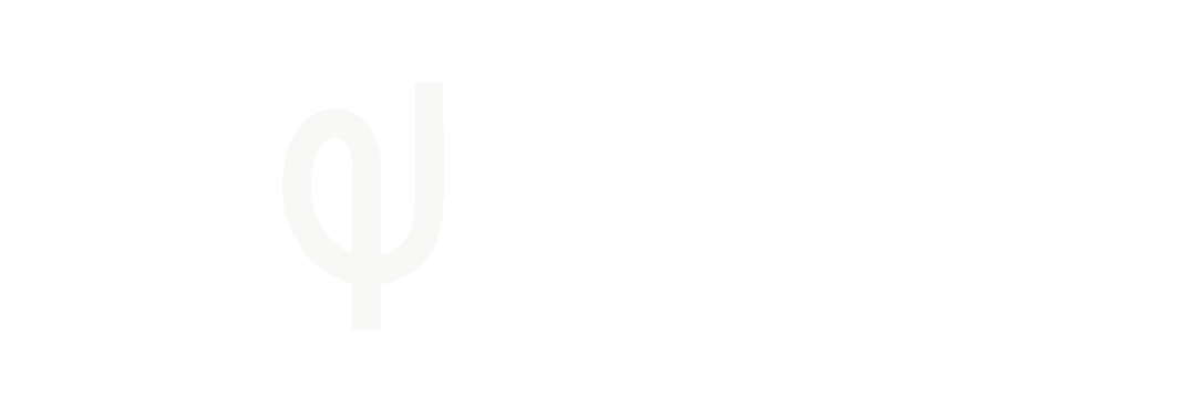 EBS Excellence Business Solutions